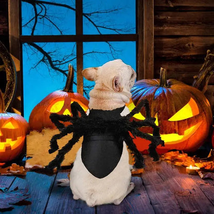 New【Pet Dog Cat Costume Halloween Spider Transformation Outfit Pet Costume Pet Cat Dog Funny Cosplay Dress Up Clothes Costume】
