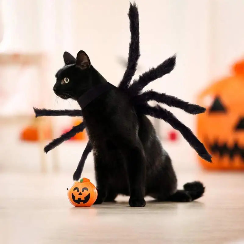 New【Pet Dog Cat Costume Halloween Spider Transformation Outfit Pet Costume Pet Cat Dog Funny Cosplay Dress Up Clothes Costume】