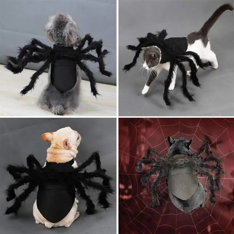 New【Pet Dog Cat Costume Halloween Spider Transformation Outfit Pet Costume Pet Cat Dog Funny Cosplay Dress Up Clothes Costume】